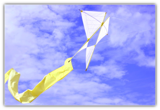 kite festival